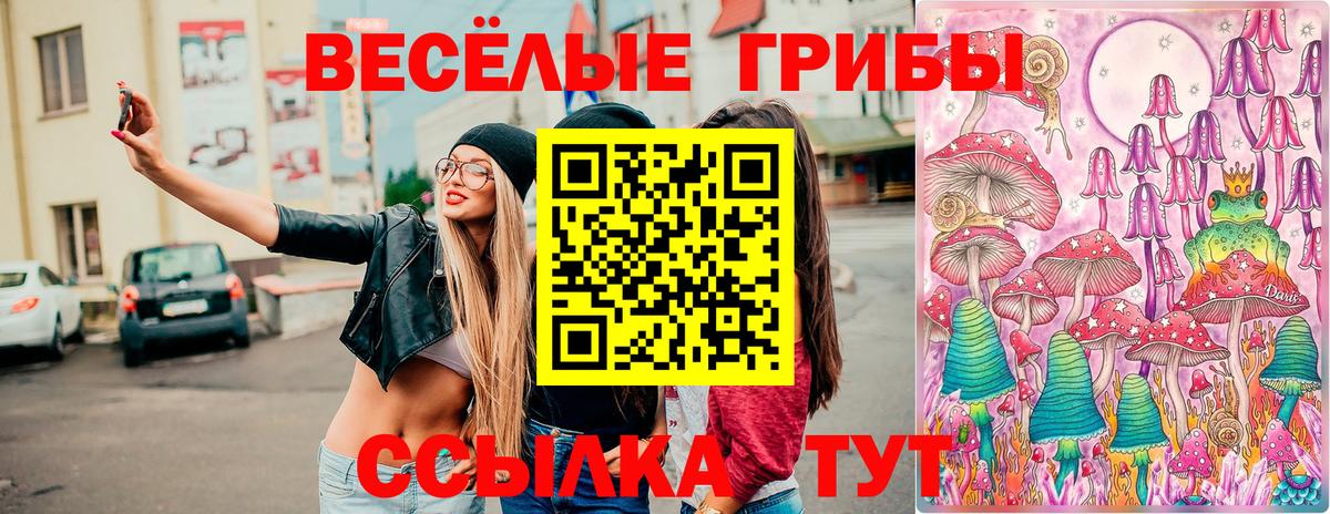 Керчь  Галлюциногенные грибы GOLDEN TEACHER  Вход с VPN 
